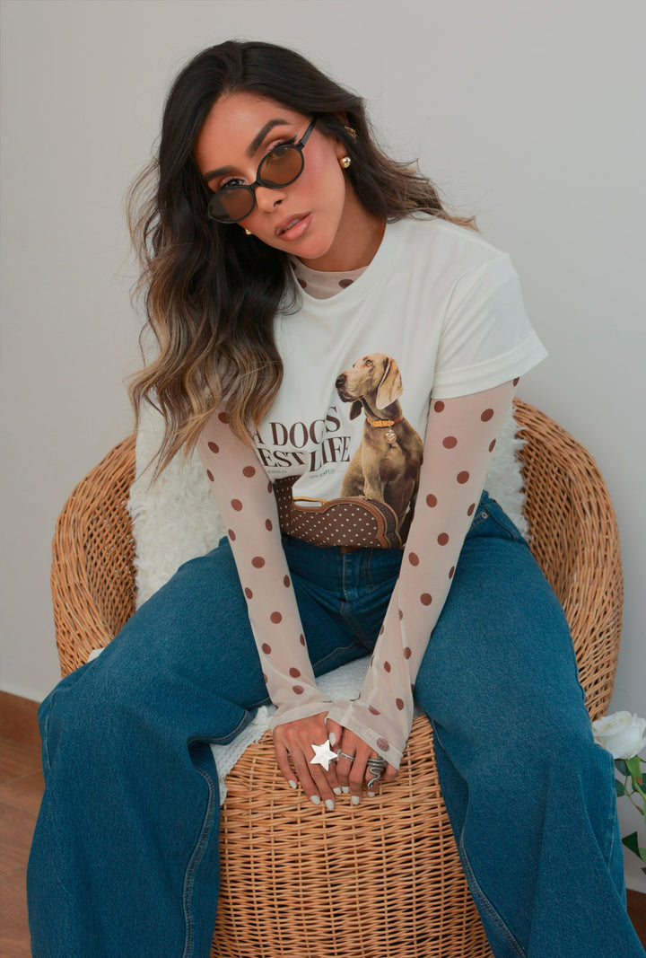 Duo Dog Coffe