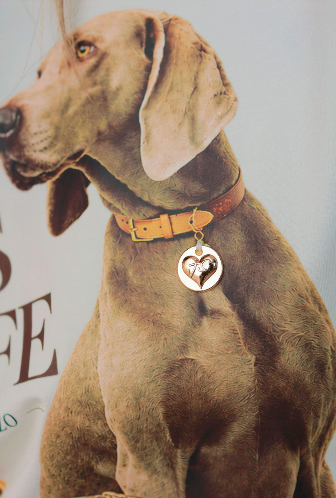 Duo Dog Coffe